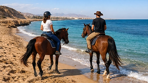 Horse ride along the coast of Hurghada