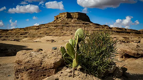 2 Tage Tour El Fayum und Sakkara
