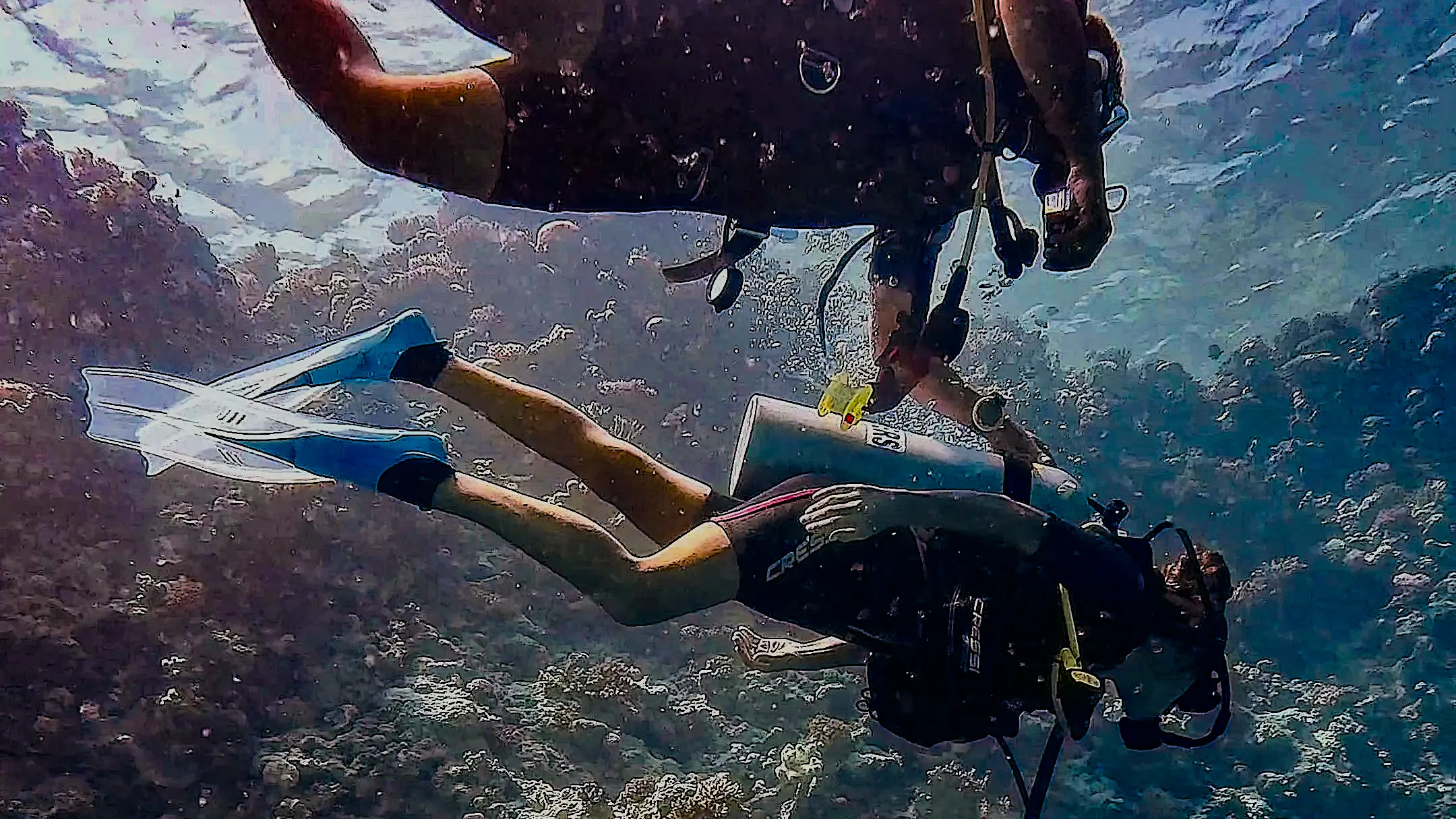Schnuppertauchen in Hurghada
