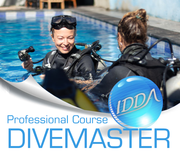 Divemaster Kurs E-Learning mit online Prüfung