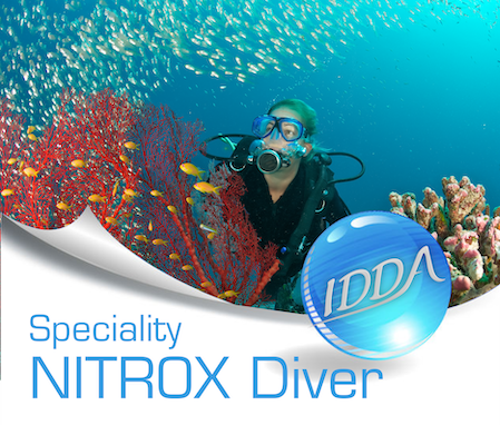 Nitrox Diver Kurs E-Learning mit online Prüfung