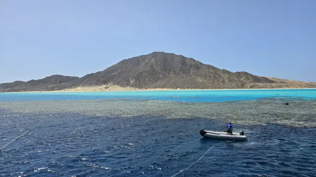 Rocky Island · Rocky Island · Zabargad – Tauchjournal vom 06.05.2026